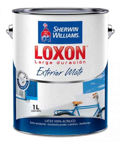 Loxon Gris Cemento Acrilico Exterior X 1L