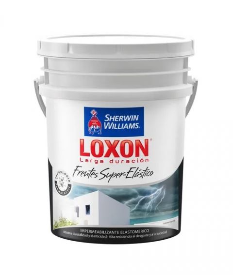 Loxon Ld Frentes Super Elástico Blanco X 20L